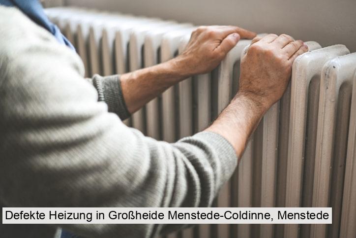 Defekte Heizung in Großheide Menstede-Coldinne, Menstede